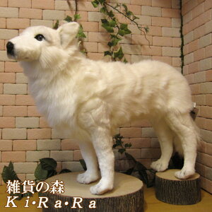 T@u@zCg@Et@IIJ~@rbOTCY@傫ăAȓ̂ʂ݁@Aj}@IuWF@G݁@tBMA@`[t@CeA@ց@@tt@