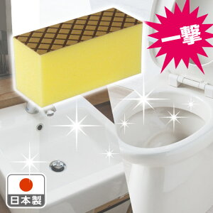ꌂ@E^Cp@M[