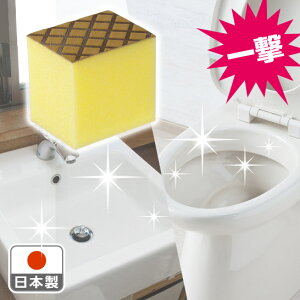 ꌂ@E^Cp@n[t