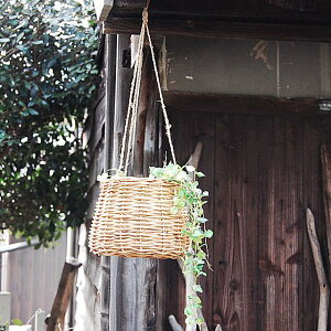 AO艺B@@NG@ꂦ@oXPbg@nMO@AO@i`@K[f@K[fjO@CeA@fBXvC