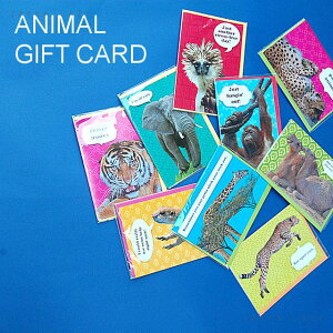 �wANIMAL GIFT CARD�x�A�j�}���M�t�g�J�[�h�@�A�j�}���@�O���[�e�B���O�J�[�h�@�M�t�g�J�[�h �G�݁y�l�R�|�X�E�R���p�N�g�Ή��z