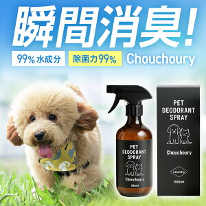 yzLaundly ybgpLXv[ 500ml VV[ {  L L  Y r߂ĂS ͏L Rۗ90 Oҋ@֎ 99 S gC e AjAL 