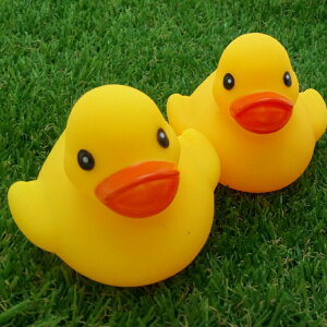 y50Zbgzypi ЂzAq    킢 F CG[ Ђ  Ղ v[ ׂ G UbJ rSii oU[