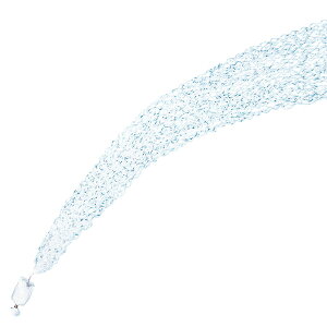 ̑e[vij12Zbg NbJ[ Cxg p[eB[ a j v[g TvCY G UbJ rSii oU[ 