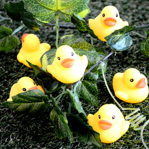 y100ZbgzypizAq~j l` ɕ ~jTCY 킢 v[ X IX   ii 