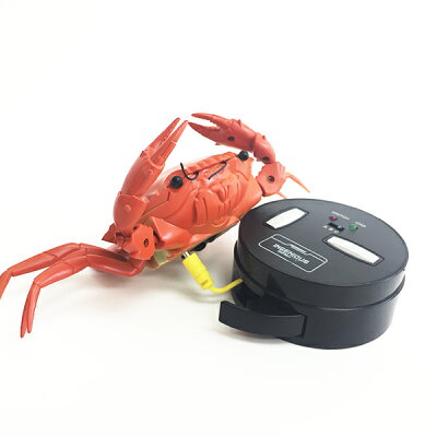 楽天市場 ラジコン 赤外線rc ジャイアントクラブ かに カニ 蟹 甲殻類 動物 生き物 部屋 ビッグサイズ ジャイアントサイズ お家で遊べる アウトドア お出かけ 外出 かっこいい カッコイイ パーティー イベント ボディ ビンゴ 子ども会 プレゼント グッズ 景品 販促