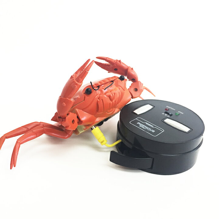 楽天市場 ラジコン 赤外線rc ジャイアントクラブ かに カニ 蟹 甲殻類 動物 生き物 部屋 ビッグサイズ ジャイアントサイズ お家で遊べる アウトドア お出かけ 外出 かっこいい カッコイイ パーティー イベント ボディ ビンゴ 子ども会 プレゼント グッズ 景品 販促 楽天市場 ラジコン 赤外線rc ジャイアントクラブ かに カニ 蟹 甲殻類 動物 生き物 部屋 ビッグサイズ ジャイアントサイズ お家で遊べる アウトドア お出かけ 外出 かっこいい カッコイイ パーティー イベント ボディ ビンゴ 子ども会 プレゼント グッズ 景品 販促