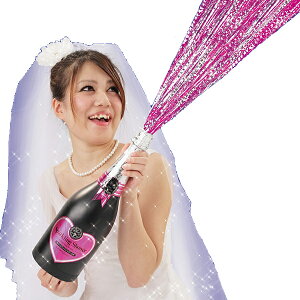 sNXp[NOV[ NbJ[ p[eB[ Cxg TvCY a j v[g 蕨  lp ݉ G UbJ rSii oU[ 