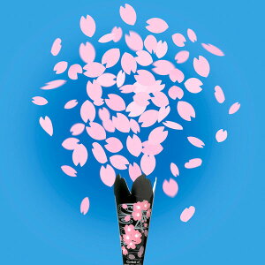 y10ZbgzyNbJ[ zNbJ[ 5 t  w  l e[v ȒP ֗ j TvCY p[eB[ Cxg oU[ rS qǂ v[g ObY M