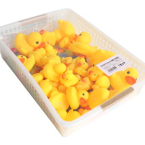 y l`zAq 300 JS Ђ Aq X[p[{[ l` ՂՂ  킢 v[   čՂ Ղ Cxg pi  