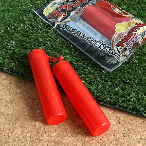 y25Zbgzyj̎q zk`N ߋ  Ղ ii ct ۈ牀 w Cxg `ii qǂ q