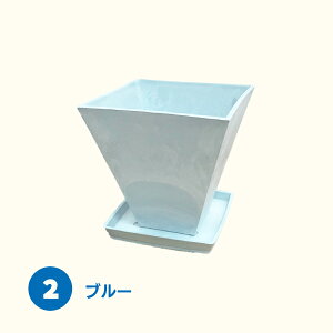 y{ AؔzLoX|bg g[t Zbg 8.7cm A  A ϗtA t[|bg  mߋ S S j̎q ̎q LbY Cxg p[eB[ oU[ r