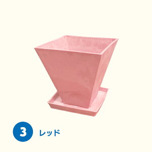 y{ AؔzLoX|bg g[t Zbg 8.7cm A  A ϗtA t[|bg  mߋ S S j̎q ̎q LbY Cxg p[eB[ oU[ r