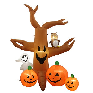 ynEB ̑zGA[fBXvC pvLc[ Halloween nEB[ ΂ ڂ J{` pvL tNE 10 H Ղ qǂ ǂ fR[V dl AC