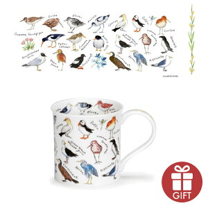 __tf[FXSiPX5{^ _k[ }O Jbv Bute BIRDLIFE - COASTAL 300ml DUNOON | }OJbv _k[}OJbv Rbv Dunoon dunoon k uh  y Mtg v[