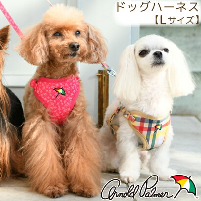 楽天市場 犬服 ドッグウェア ブランドから探す Arnold Palmer 雑貨ネットオンライン 楽天市場店 楽天市場 犬服 ドッグウェア ブランドから探す Arnold Palmer 雑貨ネットオンライン 楽天市場店