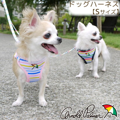 楽天市場 犬服 ドッグウェア ブランドから探す Arnold Palmer 雑貨ネットオンライン 楽天市場店