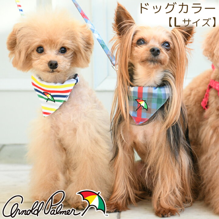 楽天市場 Arnold Palmer カラー Lサイズ 犬用 ブランドカラー ブランド犬具 ブランド首輪 散歩 雑貨ネットオンライン 楽天市場店