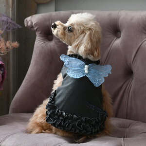 ANNA SUI AiXC Ai XC AiEXC NAo^tC^N | g[i[  hbOEFA 24a