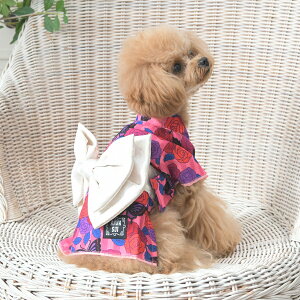 ANNA SUI アナスイ アナ スイ アナ・スイ バタフライ柄 振袖 | 着物 犬服 ドッグウェア 仮装 コスプレ ハロウィン 24a お正月