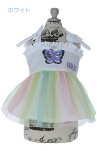 ANNA SUI AiEXC AiXC Of[VL~s[X | s[X  hbOEFA 24s