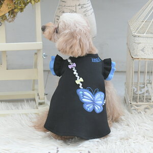 2025NV ANNA SUI AiXC Ai XC AiEXC V_[obOs[X | s[X  hbOEFA 25a