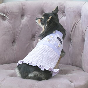 2025NV ANNA SUI AiXC Ai XC AiEXC cC[hjbgs[X | jbg s[X  hbOEFA 25a