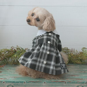 2025NV ANNA SUI AiXC Ai XC AiEXC {`[t`FbNs[X | s[X  hbOEFA 25a