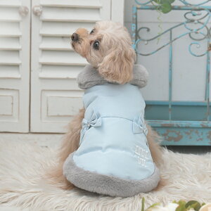 2025NV ANNA SUI AiXC Ai XC AiEXC {tA_ExXg | Wp[ AE^[ _E  hbOEFA 25a