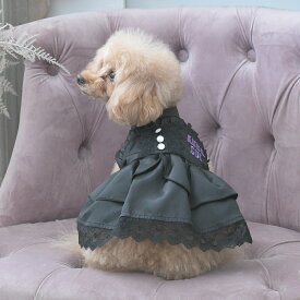 2025年新作 ANNA SUI アナスイ アナ スイ アナ・スイ サテンドレス | ワンピース ドレス 犬服 ドッグウェア 25a