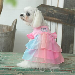 ANNA SUI AiXC Ai XC AiEXC jR[`[s | s[X  hbOEFA 25s