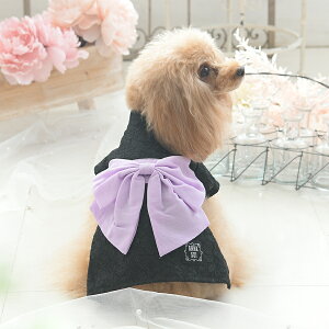 ANNA SUI AiEXC AiXC [X |   hbOEFA 25s