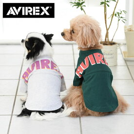 AVIREX ビッグロゴTEE V 23s ビッグロゴ クルーネック Tシャツ 犬服 アヴィレックス アビレックス