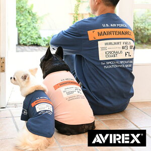 AVIREX eiXpb`TEE |  gbvX TVc Vc 22a ABbNX ArbNX