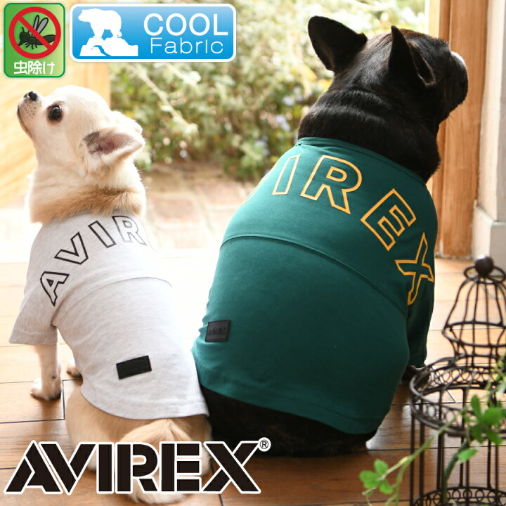 楽天市場 Sale セール Avirex ビッグロゴtシャツ 犬服 トップス シャツ クール 虫除け 防虫 Dog 21s 雑貨ネットオンライン 楽天市場店