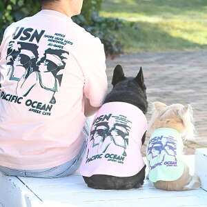 AVIREX Z[[^Ngbv |  gbvX N[  22s ABbNX ArbNX