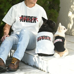 AVIREX J^JiS^Ngbv |  gbvX N[  22s ABbNX ArbNX