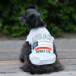 AVIREX ABbNX ArbNX V[eBOpb`hXEFbg | g[i[  hbOEFA 24a