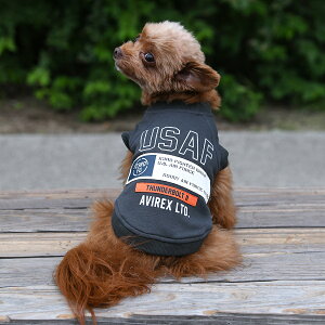 AVIREX ABbNX ArbNX V[eBOpb`hXEFbg | g[i[  hbOEFA 24a