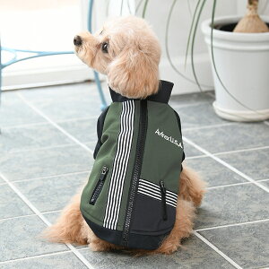 AVIREX ABbNX ArbNX gbNJKTNXI[o[ | u] Wp[ WPbg  hbOEFA 24a