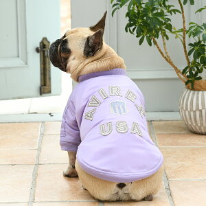 AVIREX ABbNX ArbNX VOl`[SMA|1 | u] Wp[ WPbg  hbOEFA 24a