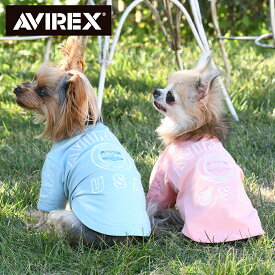 AVIREX アビレックス アヴィレックス バーシティロゴT | Tシャツ シャツ カットソー 犬服 ドッグウェア 2024 新作 24s