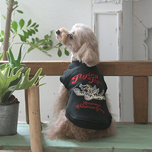 2025NV AVIREX ABbNX ArbNX tCO^CK[XEFbg | g[i[ XEFbg  hbOEFA 25a