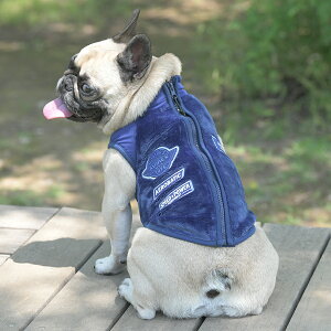 2025NV AVIREX ABbNX ArbNX Spb`t[XWPbg | t[X xXg  hbOEFA 25a