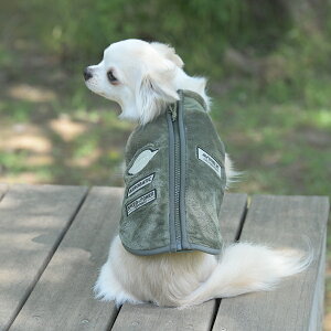 2025NV AVIREX ABbNX ArbNX Spb`t[XWPbg | t[X xXg  hbOEFA 25a