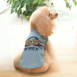 AVIREX ABbNX ArbNX C[O^N | ^Ngbv  hbOEFA 25s