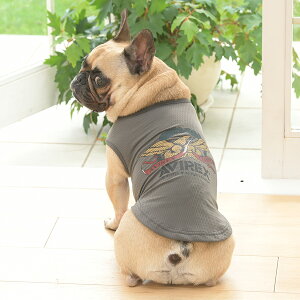 AVIREX ABbNX ArbNX C[O^N | ^Ngbv  hbOEFA 25s