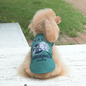 AVIREX ABbNX ArbNX ~AJf~[^N | ^Ngbv  hbOEFA 25s