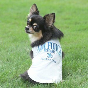 AVIREX ABbNX ArbNX ~AJf~[^N | ^Ngbv  hbOEFA 25s