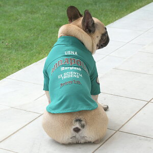 AVIREX ABbNX ArbNX Ai|X[NVc | Vc  hbOEFA 25s